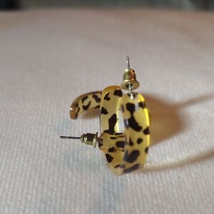 Wild Patterned Hoop Earrings